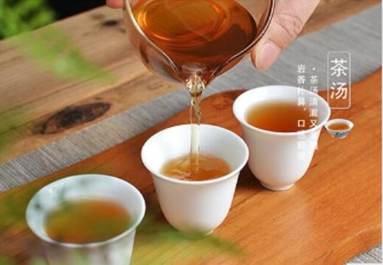 Tylin dikembangkan dengan perkawinan silang dari Tea Research Institute of Fujian Academy of Agricultural Sciences dengan tiegua