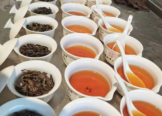 Teh Oolong Panas atau Dingin dengan Aroma Bunga untuk Disuguhkan