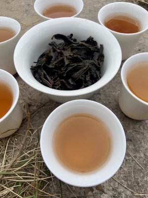 100 °C Suhu Membuat Teh Mengungkapkan Esensi Buah Teh Pu Erh