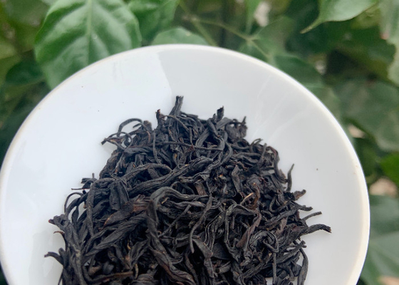 Jaminan 18 Bulan Lapsang Souchong Teh Hitam