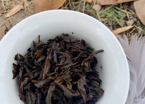 Inspirasi Bunga Dihidupkan Kembali di Cangkir Teh Tulang dengan Waktu Memasak 3-5 Menit