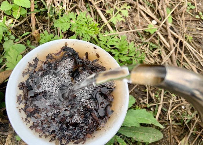 Inspirasi Bunga Dihidupkan Kembali di Cangkir Teh Tulang dengan Waktu Memasak 3-5 Menit