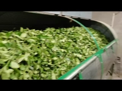 good quality black tea